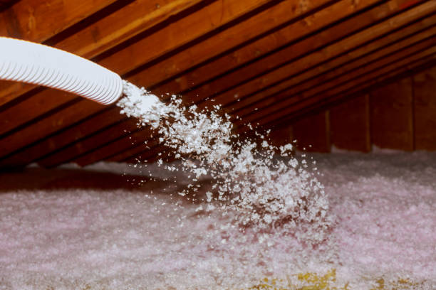 Best Insulation for Specific Applications in North Vacherie, LA