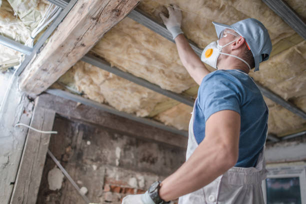 Best Insulation Materials and Products in North Vacherie, LA